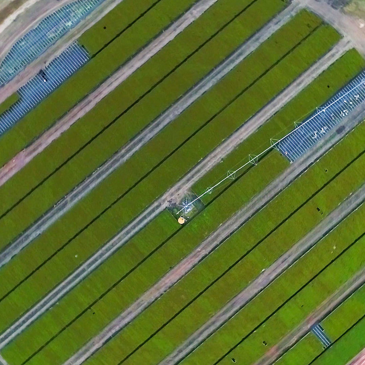 Birds Eye View Of Crop Farm
