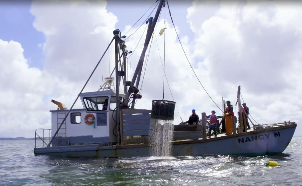 Fishing Boat On The Water