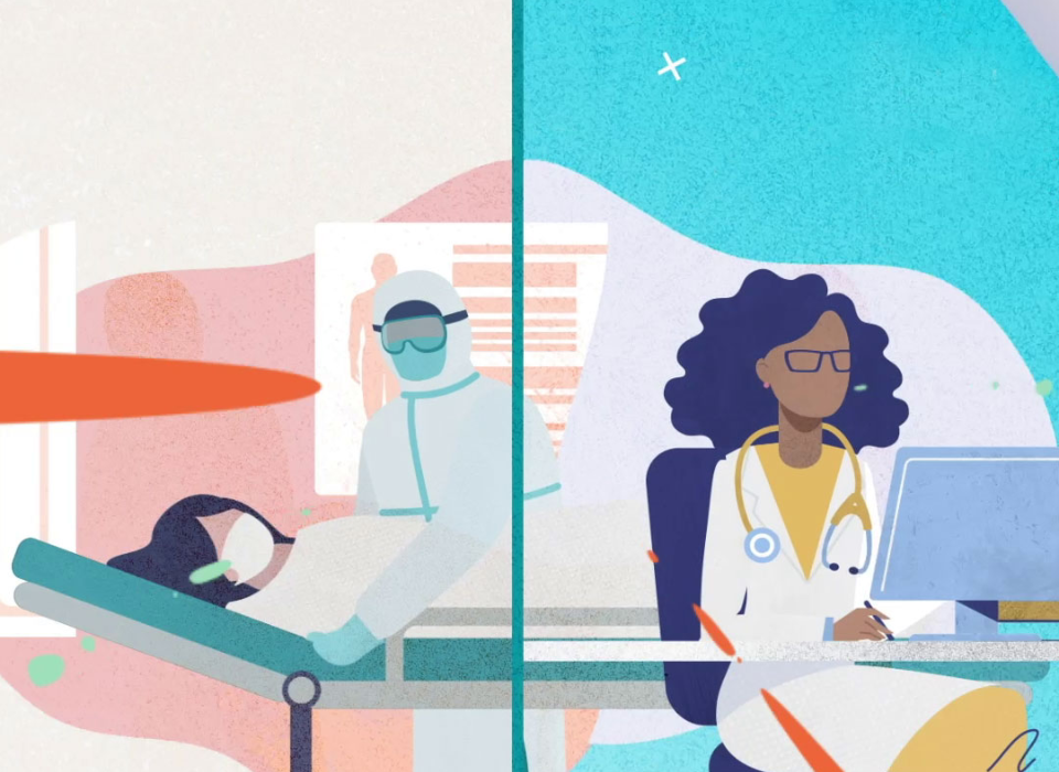 L A I Video Federation Of State Medical Boards Provider Bridge Motion Graphics