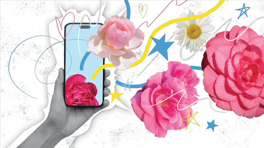 Artistic Image Showing A Hand Holding A Smart Phone Surrounded By Flowers.