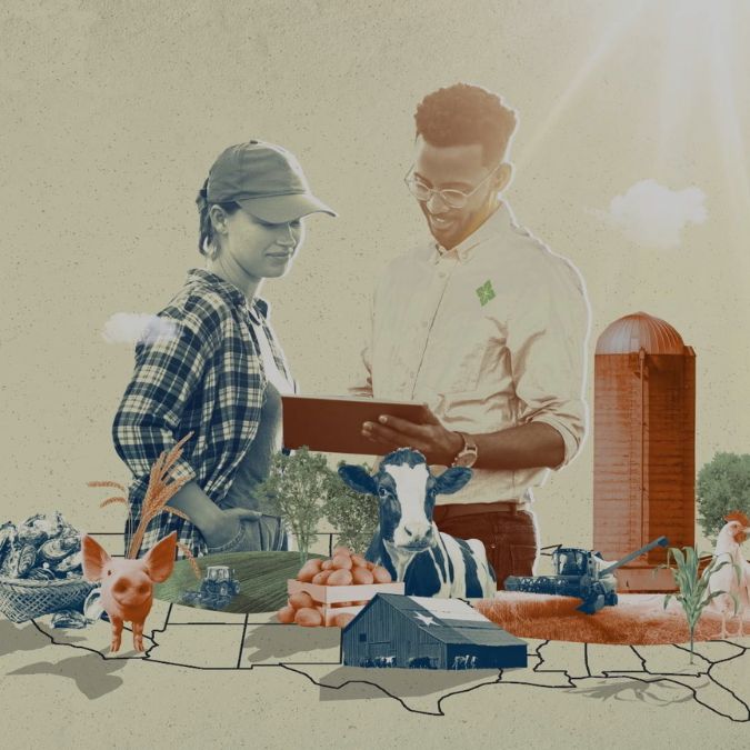 How Do Explainer Videos Help Businesses Communicate Effectively?